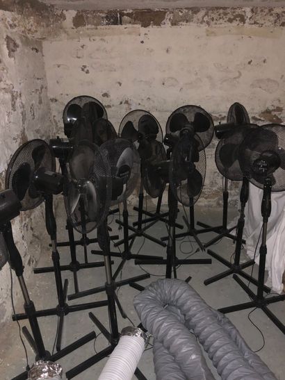  Lot de 15 ventilateurs