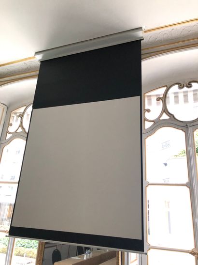 Large video projector screen (motorized ...