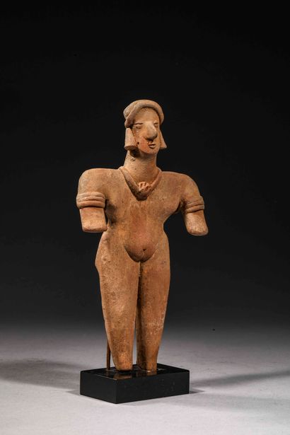 null Standing woman

Brown terracotta

Colima culture, Mexico

100 BC - 250 AD

H....