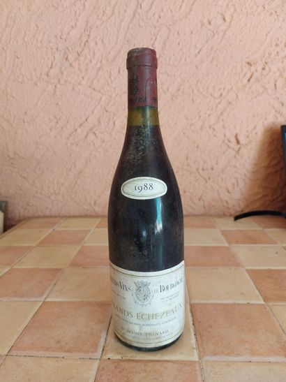 null BOURGOGNE GRANDS ECHEZEAUX		

DOMAINE THENARD	

ROUGE	 75CL	 1988	 	E.T 	1BLLE



BOURGOGNE...