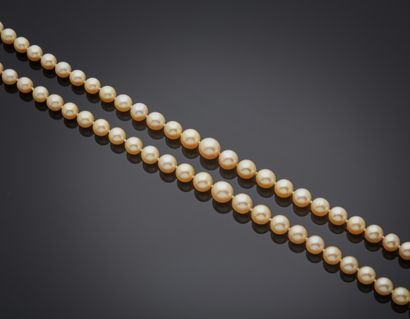 null COLLIER composé de deux rangs de perles de culture de couleur crème, en chute...