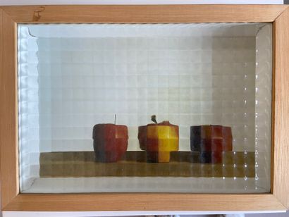 null 
FELLOUS (XXème siècle)




3 pommes




Technique mixte, travail d'illusion...