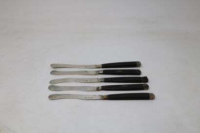 null Five fruit knives with silver blade and ebony handles

Early 19th century

Total...