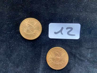 null 2 pièces de 10$ US or (1898 - 1893)



POIDS: 33,41grs