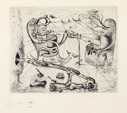 null 
Salvador DALI (1904-1989)




Composition surréaliste




Eau forte, MODIFICATION :...