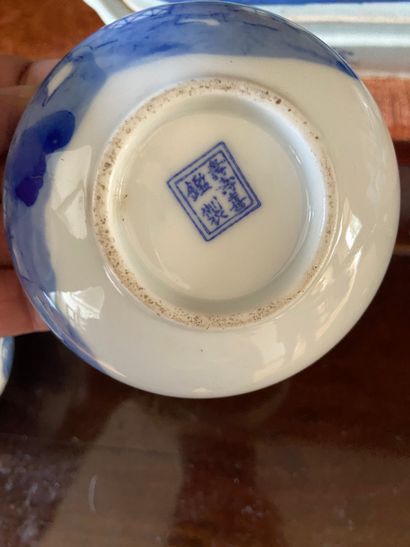 null Vietnam XXème siècle

Deux bols en porcelaine blanc-bleu, le pourtour cerclé...