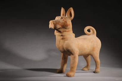  Dog with floppy ears 
Terracotta sculpture...