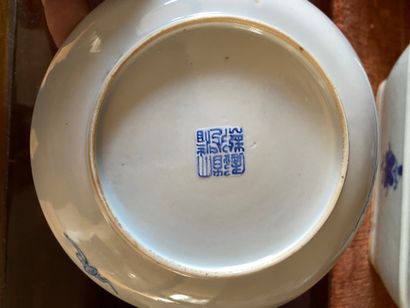 null Chine ou Vietnam XXème

Réunion de 6 coupelles en porcelaine blanc-bleu

Marquées

Diams...