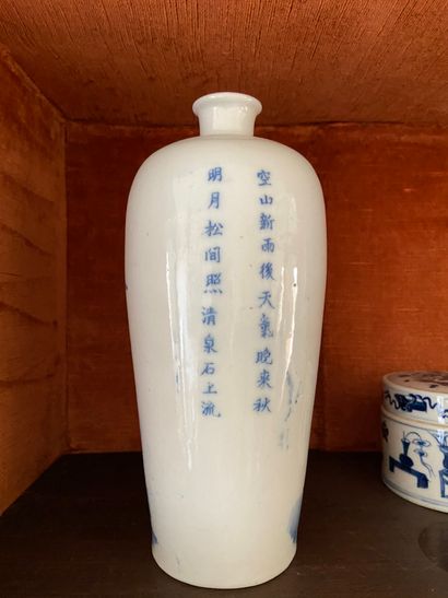 null Chine XXème siècle

Vase à petit col ourlé en porcelaine blanc-bleu à décor...