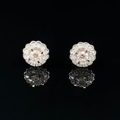 null Paire de CLOUS d’OREILLES « fleurs » en or gris (750‰) serti de diamants taille...