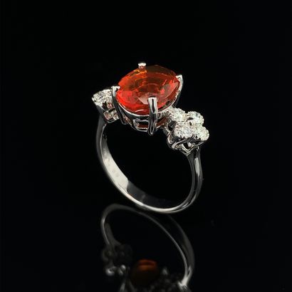 null White gold (750‰) ring set with an oval-shaped fire opal, shouldered by eight...