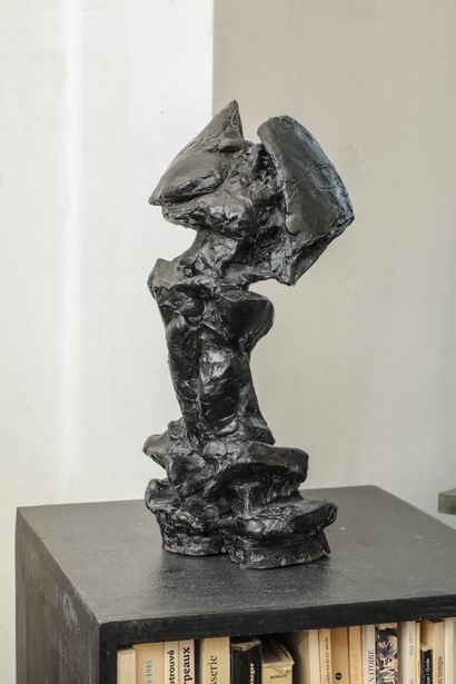null Corps éclaté

Sculpture en résine d'époxy

39x15x14cm