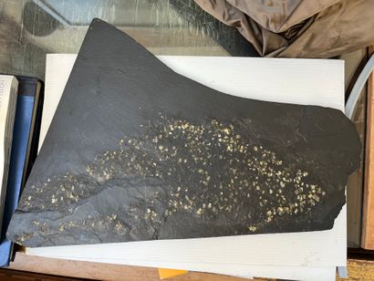 null 
Untitled

Slate plate with inlays
30 x 38 cm



ADDED Sculpture in slate and...