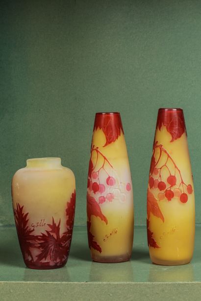 null ETABLISSEMENTS GALLE

Paire de vases en verre multicouches , à décor de fleurs...