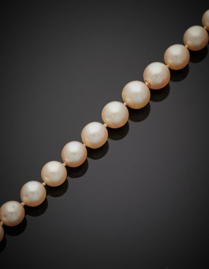 null COLLIER composé d'un rang de perles de culture. Fermoir perle, système en or...