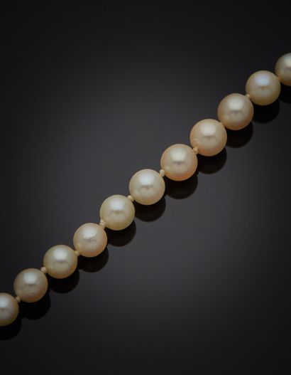 null COLLIER composé d'un rang de perles de culture blanches, en chute. Fermoir rectangulaire...