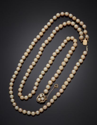 COLLIER composé d'un rang de perles de culture....