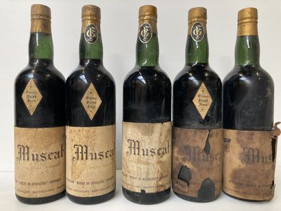 null 5 bottles VIEUX MUSCAT DE RIVESALTES françois Gard à Banyuls Sur Mer 75cl E.A....