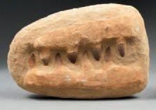 null MÂCHOIRE comportant sept dents de Mosasaure du Crétacé. 23cm