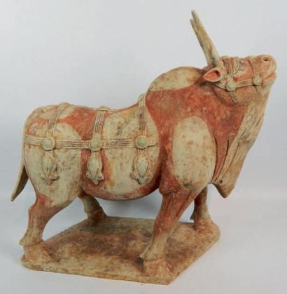 null Buffle marchant en terre cuite polychrome. Chine, Epoque Tang, 618 - 907 après...