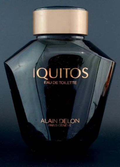 ALAIN DELON «IQUITOS» Factice géant de décoration H: 29,5 cm