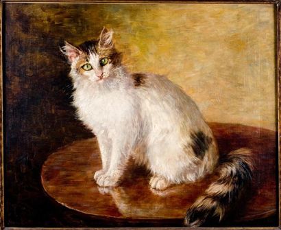 Nora DAHLEN (1869-?) Le chat couché Huile sur toile signée en bas à droite