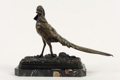 TRODOUX, HENRI EMILE ADRIEN (XIXÈME SIÈCLE) Faisan chinois Épreuve en bronze à patine...