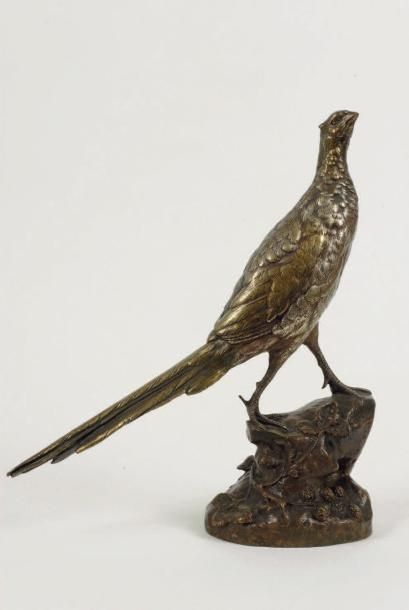 BUREAU, LÉON (1866-1906) Poule faisane au rocher Epreuve en bronze à patine brune...