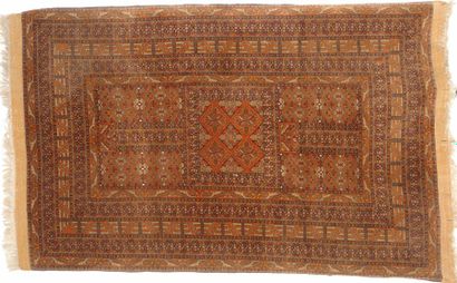 Fin tapis Hachlou (Afghan) vers 1960-70 Champ...