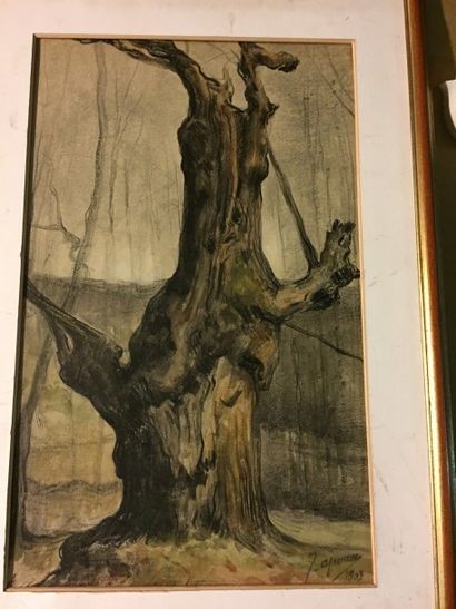 Joseph APOUX (1846-?) 
Le vieil arbre
Aquarelle et fusain
57x35cm