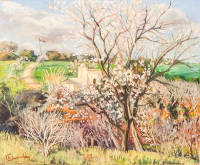 Etienne CHEVALIER (1910-1982) 
Arbres en fleurs près d'Alger
Huile sur toile, signée...