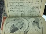 null Trois volumes oblong sur papier de riz représentant divers motifs japonais....