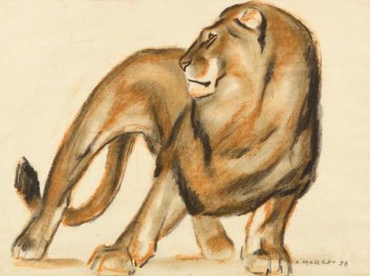 null André MARGAT (1903-1999)

"Grand Lion"

Fusain et sanguine sur papier, signé...