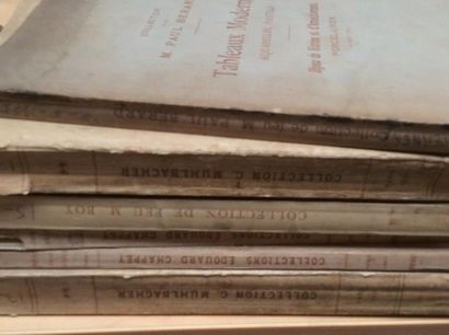 null 6 catalogues anciens de1901 à 1925

Collections : Muhlbacher, Chappey, Boy,...