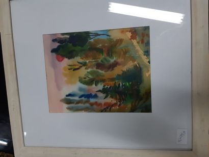 null Eugenia MIRO (MIROCHNIKO) "Forêt", gouache, signée en bas à droite. 28 x 22cm....