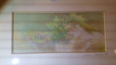 null Madeleine CHAMPEAU (XX)"paysage", dessin, signé en bas à droite.14x31cm