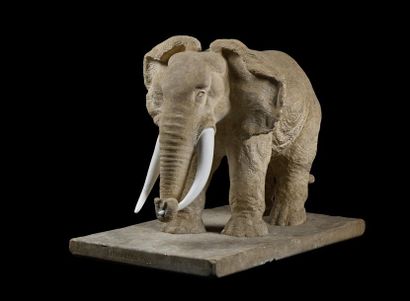 null Georges FELDKIRCHNER (1885-1952)

 "Grand éléphant d’Afrique"

Taille directe...