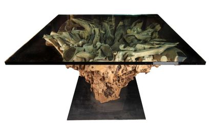 Table, foot in olive root, rare, metal base...