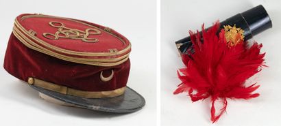 null colonial medical officer kepi, with a red plume of appearance, 14/18 period