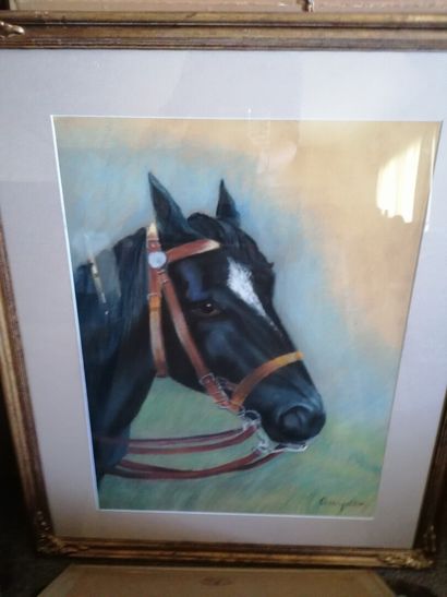 null G.Guyot "Portrait de cheval" Pastel
