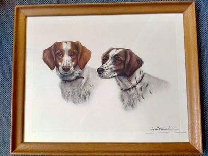 null "Les chiens" SBD, 39x51cm.