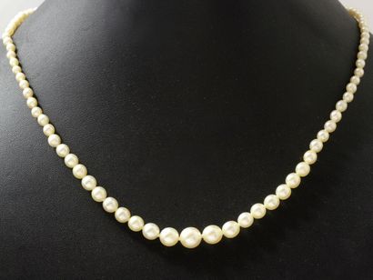 null Collier composé d'un rang de perles de culture d'environ 2.9 à 7.7 mm, agrémenté...