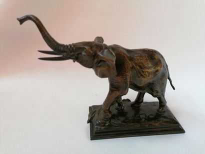  Auguste SEYSSES 1862 - 1946 «Éléphant d'Afrique» Épreuve en bronze à patine brune...
