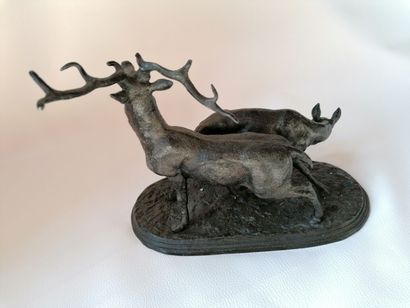 null "Stag and doe" in alloy with brown patina, H : 19 cm