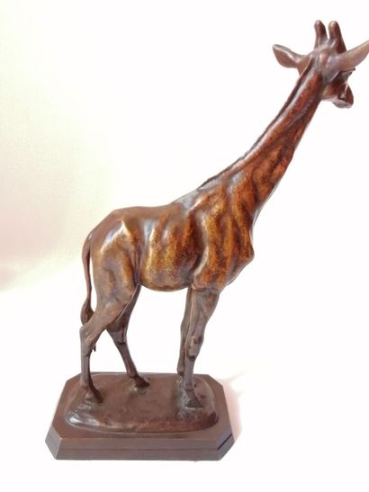 null Antoine Louis BARYE 1795 -1875 "Giraffe" Bronze proof with ochre patina, signed

24...