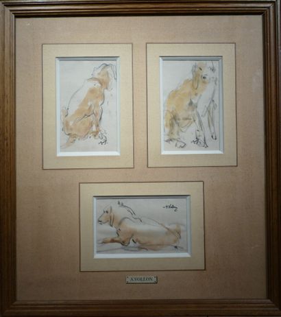 null VOLLON Antoine "Study of dogs" Three watercolor drawings in the same frame signed...