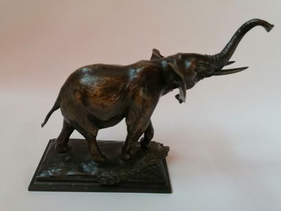 null Auguste SEYSSES 1862 - 1946 «Éléphant d'Afrique» Épreuve en bronze à patine...