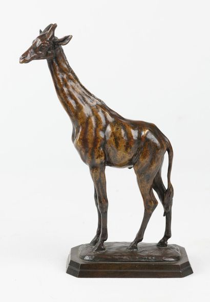 null Antoine Louis BARYE 1795 -1875 «Girafe» Épreuve en bronze à patine ocre, signée

à...