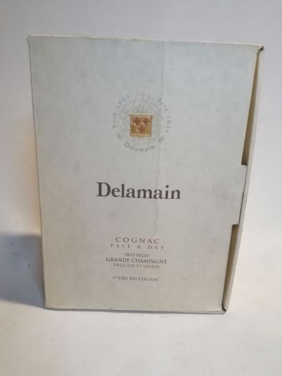 null 
2 COGNAC, DELAMAIN PALE & DRY 70cl level on the shoulder, one without box (sold...