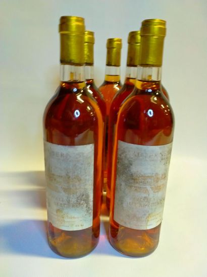  7 bottles Château Haut Brillon, Sauterne,...